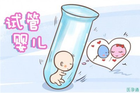 去那个国家生孩子合适呢？加拿大生子和赴美生子有什么区别？