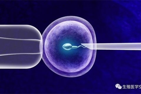 服用精氨酸的真实感受，出现这些现象要注意了